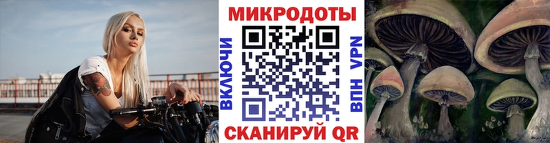 Псилоцибиновые грибы Cubensis  Чайковский 