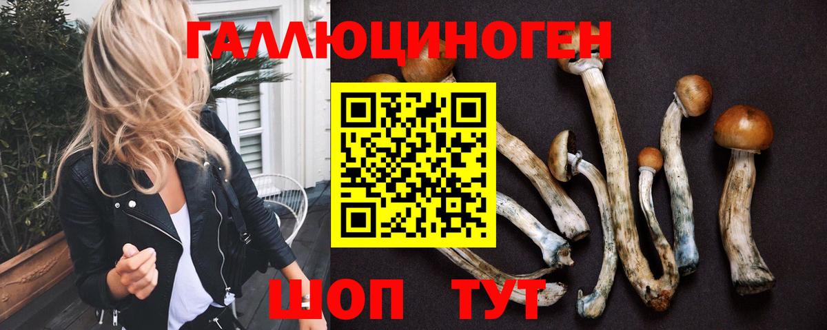 Псилоцибиновые грибы Psilocybe  Вход с VPN  Псилоцибиновые грибы мицелий  Чайковский 