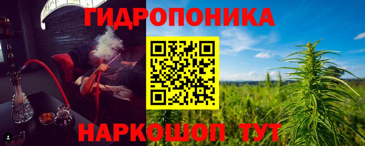 Бошки марихуана OG Kush Чайковский